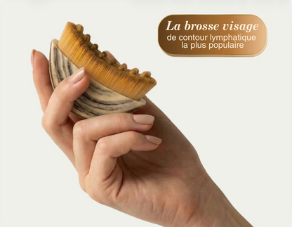 Brosse lymphatique