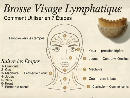 Brosse lymphatique
